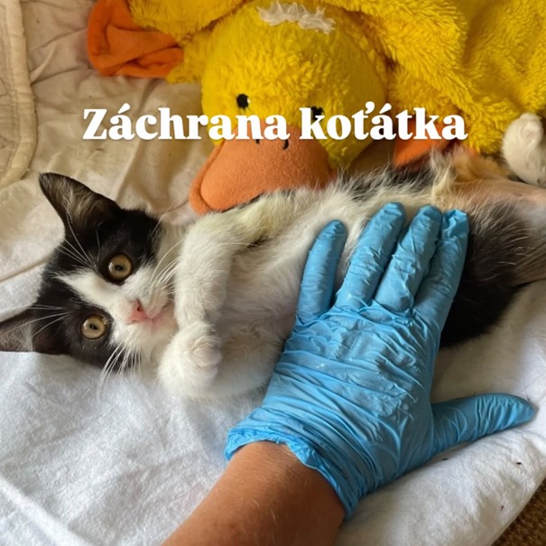 BLACKOUT KRÁSNÝ PŘÍBĚH