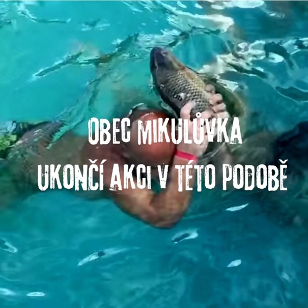 ODPORNÁ TRADICE V MIKULŮVCE