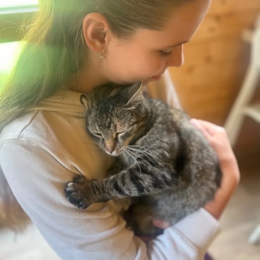 Celkově jsme vykastrovali 3050 koček a kocourů