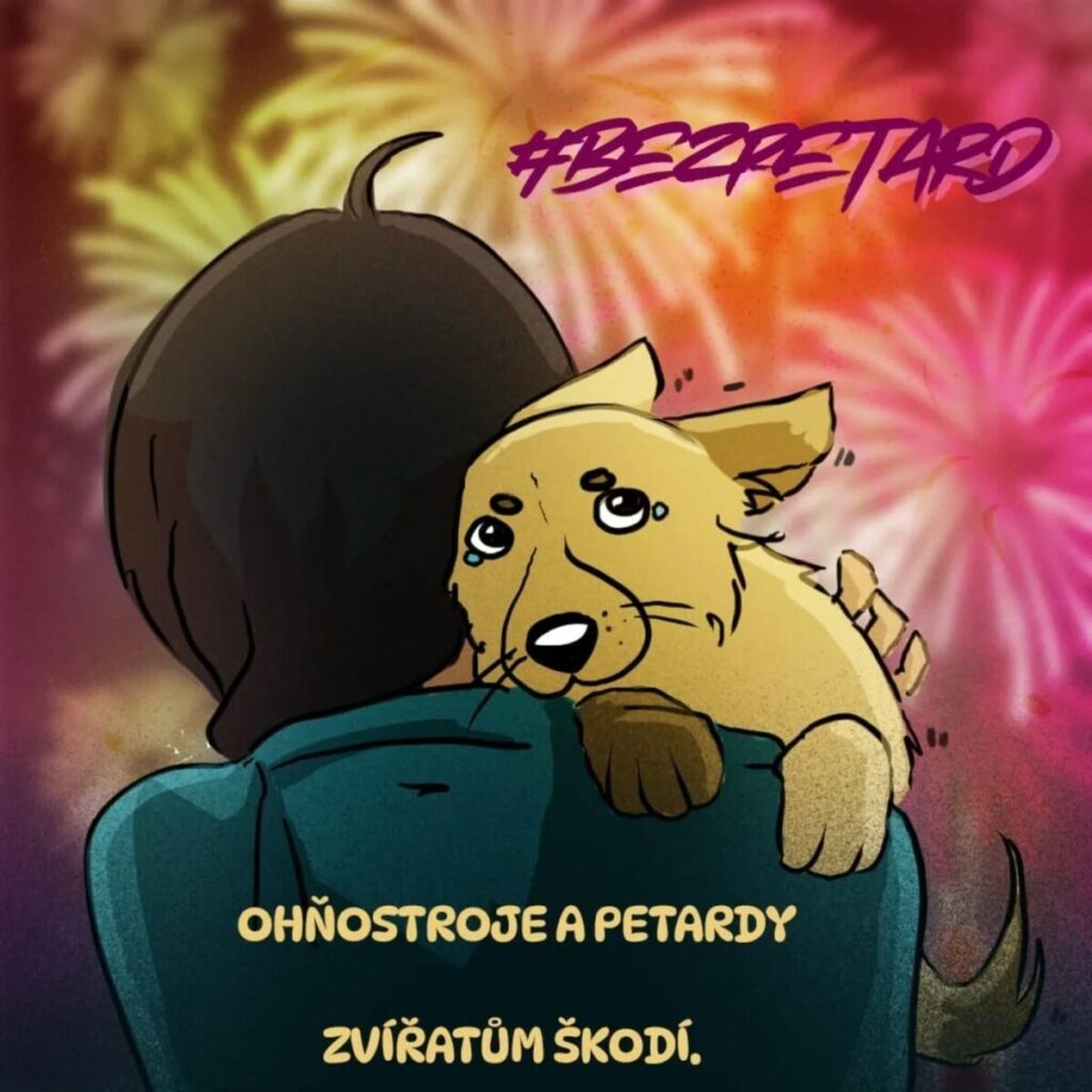 Zákaz prodeje pyrotechniky – fotografie 2