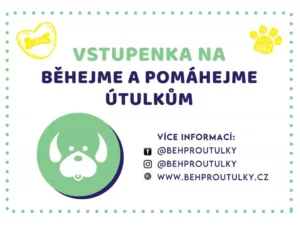 Úvodní stránka